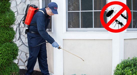 Gültepe Hamam Böceği İlaçlama böcek ilaçlama ve haşere kontrolü — ilaclama-tr.com